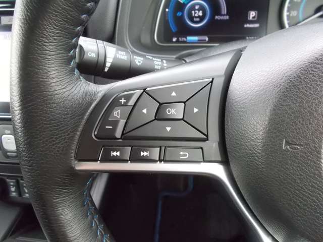 Nissan LEAF 2017-12 11983-14