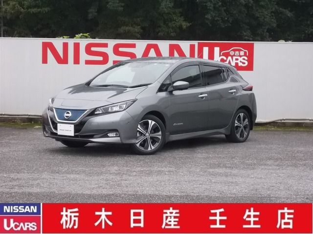 Nissan LEAF 2017-12 11983-0