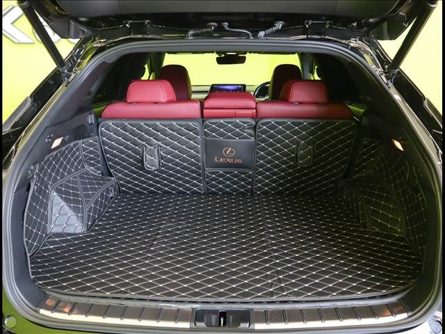 Lexus RX 2018-08 23596-27