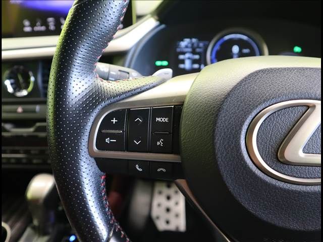 Lexus RX 2018-08 23596-7