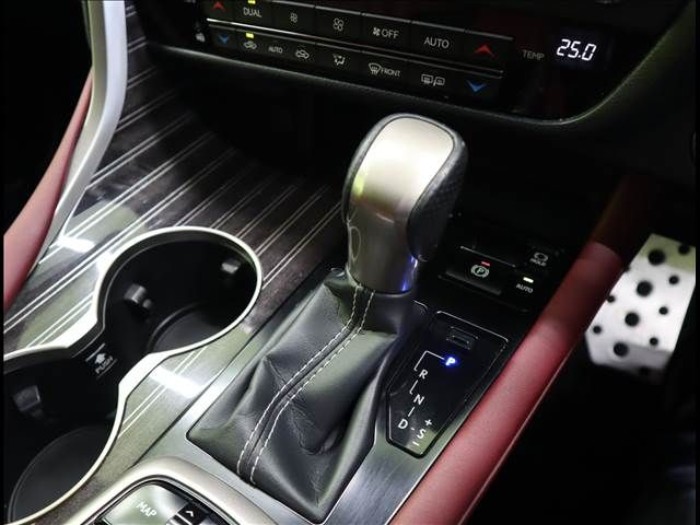 Lexus RX 2018-08 23596-15