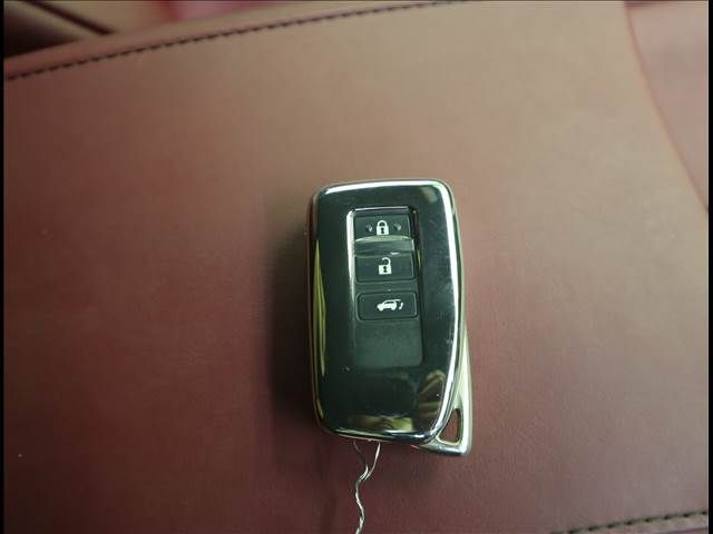 Lexus RX 2018-08 23596-17