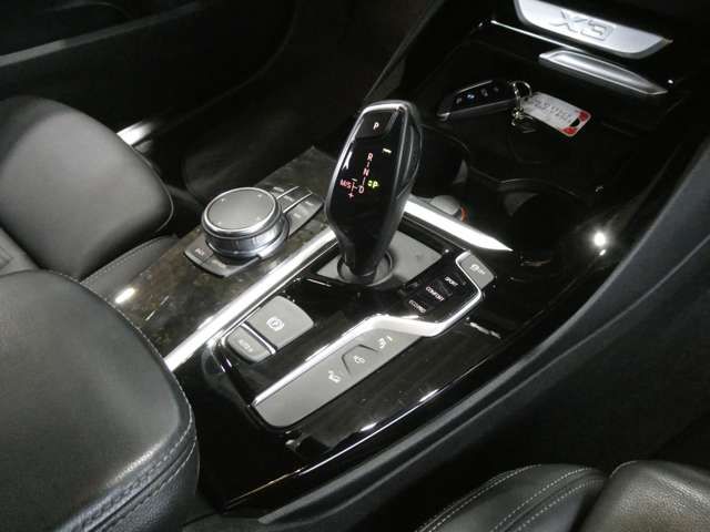 Bmw X3 2019-05 196576-15