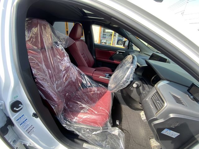 Lexus RX 2018-09 3992-16