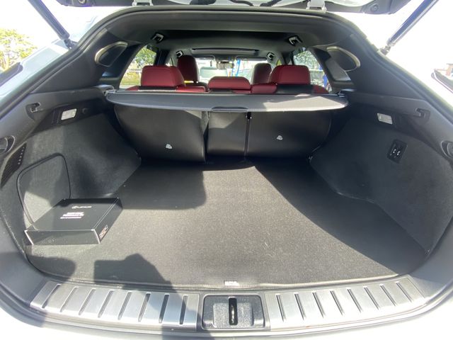 Lexus RX 2018-09 3992-18