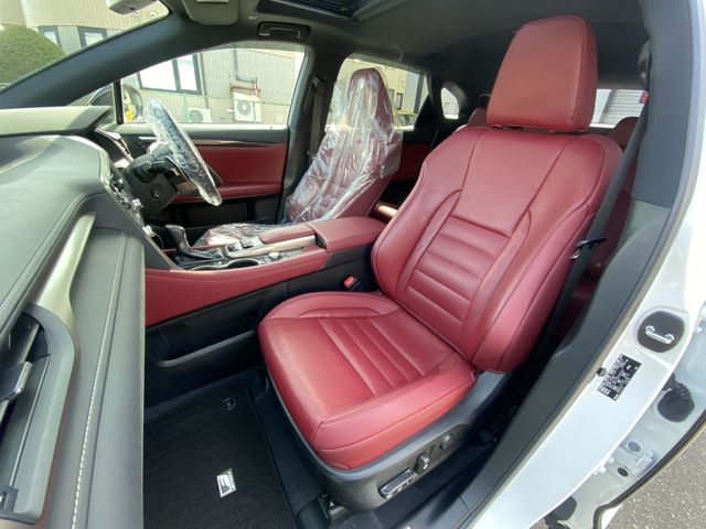 Lexus RX 2018-09 3992-20