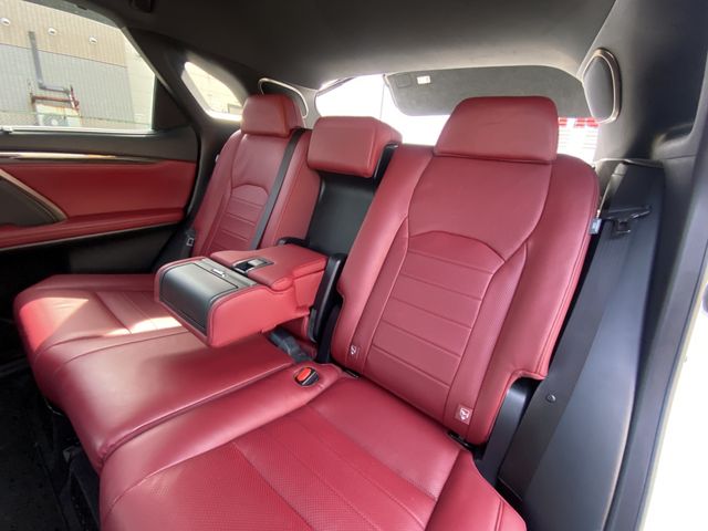 Lexus RX 2018-09 3992-19