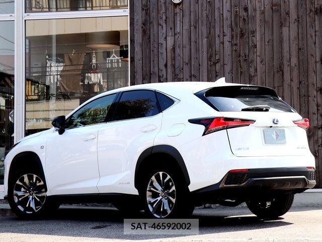 Lexus NX 2019-11 214602-2