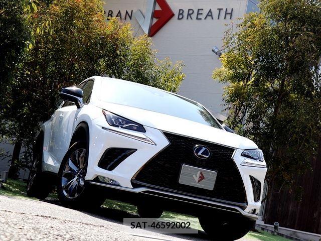 Lexus NX 2019-11 214602-3