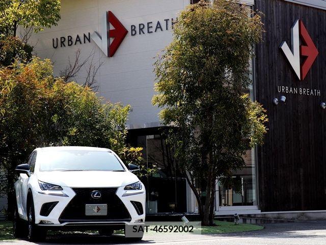 Lexus NX 2019-11 214602-5