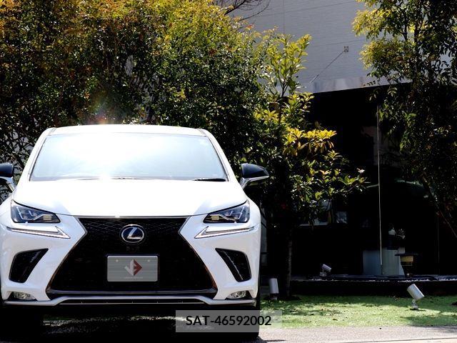 Lexus NX 2019-11 214602-4