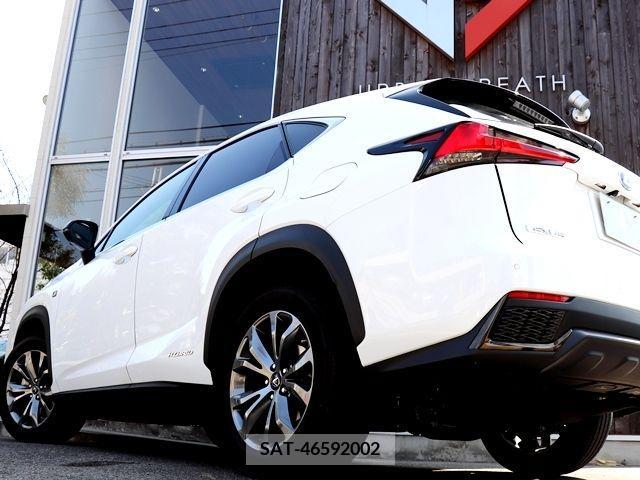 Lexus NX 2019-11 214602-10