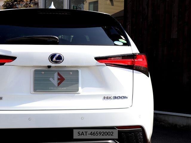 Lexus NX 2019-11 214602-11