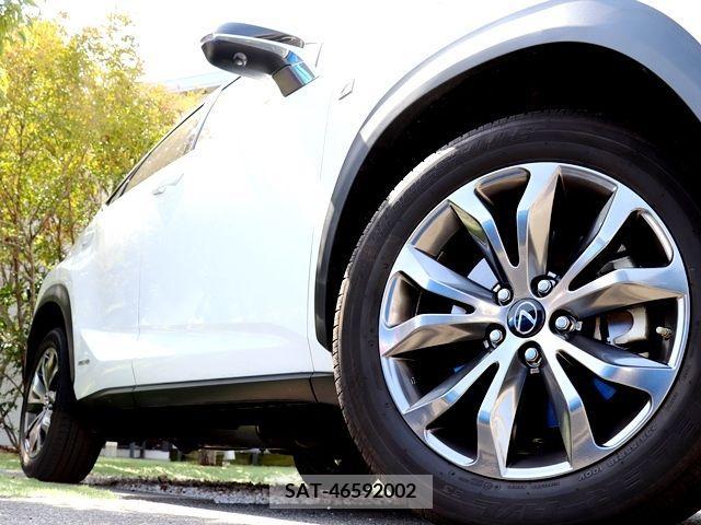 Lexus NX 2019-11 214602-12