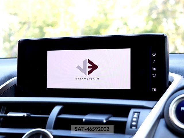 Lexus NX 2019-11 214602-15