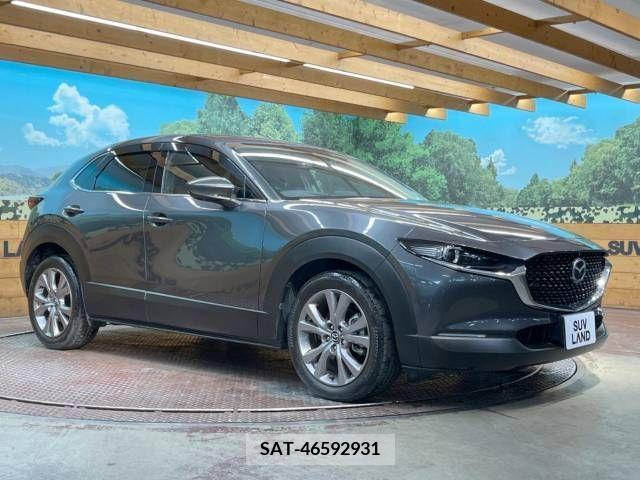 Mazda CX-30 2019-09 374834-16