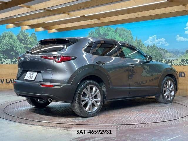 Mazda CX-30 2019-09 374834-17