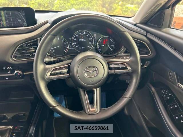 Mazda CX-30 2021-12 384894-11