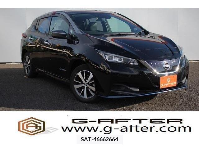 Nissan LEAF 2019-07 367074-0