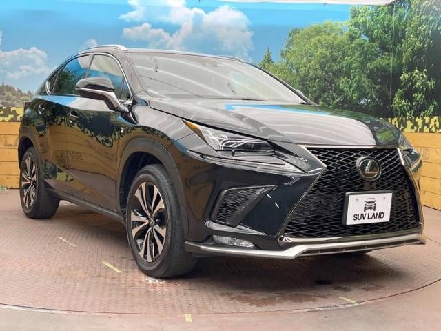 Lexus NX 2018-06 196015-15