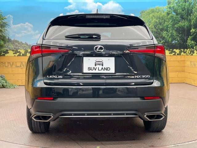 Lexus NX 2018-06 196015-14