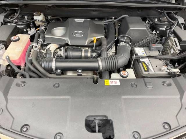 Lexus NX 2018-06 196015-17