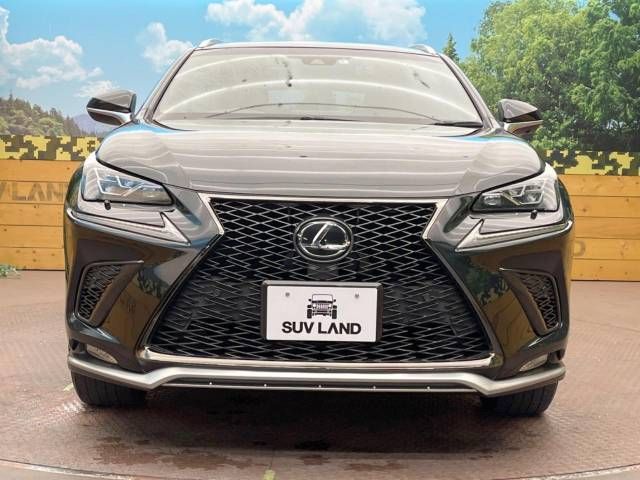 Lexus NX 2018-06 196015-13