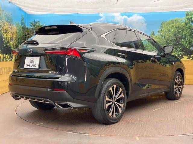 Lexus NX 2018-06 196015-16