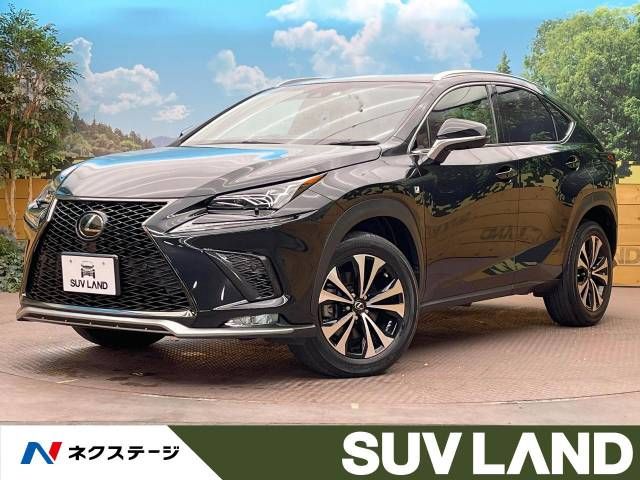 Lexus NX 2018-06 196015-0