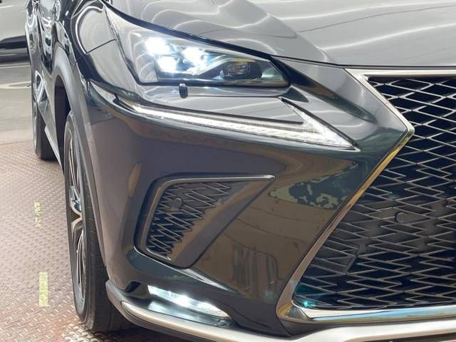 Lexus NX 2018-06 196015-11