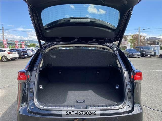Lexus NX 2017-12 353960-14