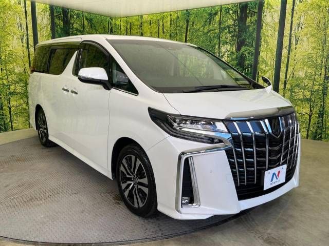 Toyota ALPHARD 2020-11 20428-17