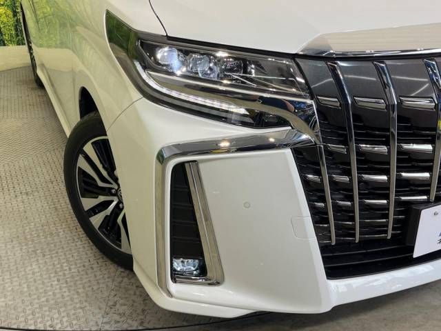 Toyota ALPHARD 2020-11 20428-13