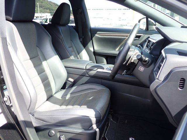 Lexus RX 2018-09 24799-15