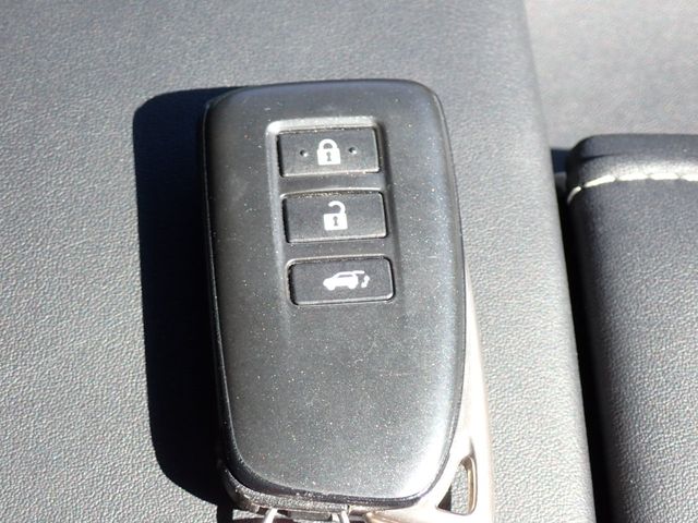 Lexus RX 2018-09 24799-18