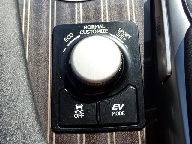Lexus RX 2018-09 24799-14