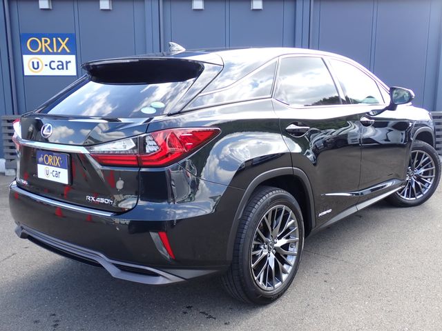 Lexus RX 2018-09 24799-2