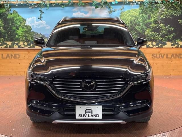 Mazda CX-8 2018-06 7204-17