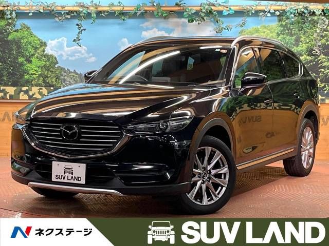 Mazda CX-8 2018-06 7204-0