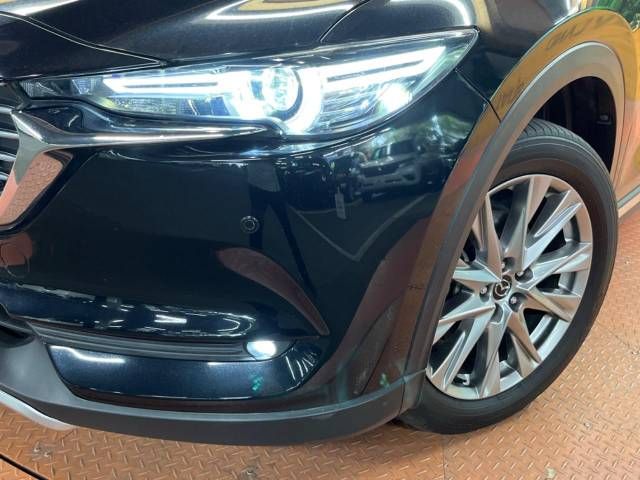 Mazda CX-8 2018-06 7204-15
