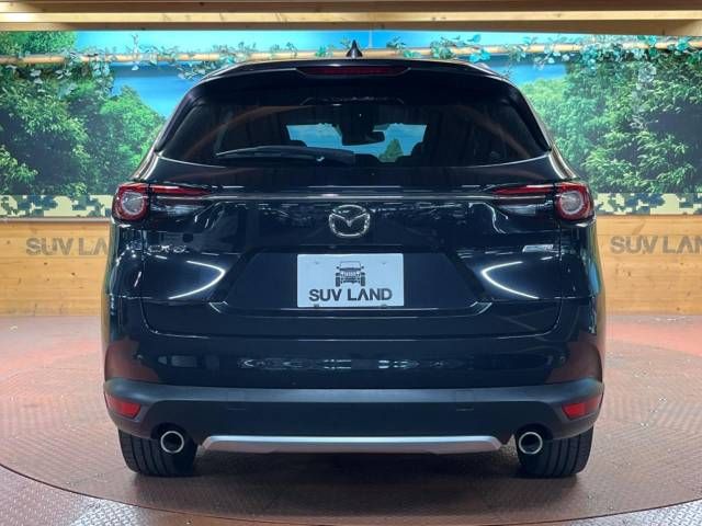 Mazda CX-8 2018-06 7204-18
