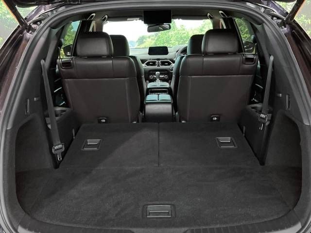 Mazda CX-8 2018-06 7204-14
