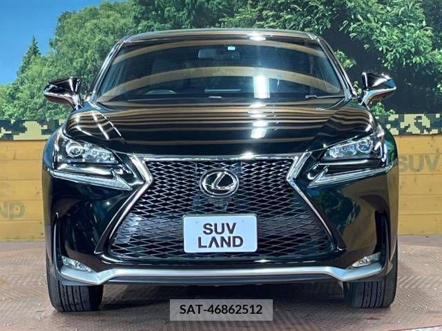 Lexus NX 2015-05 275563-14