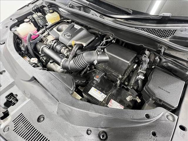 Lexus RX 2017-06 186668-17