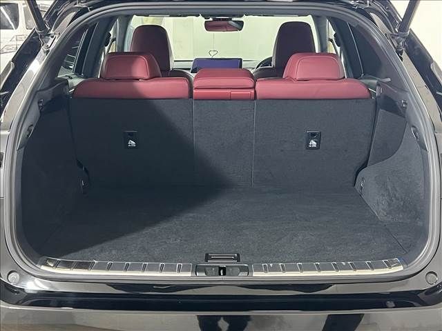 Lexus RX 2017-06 186668-12