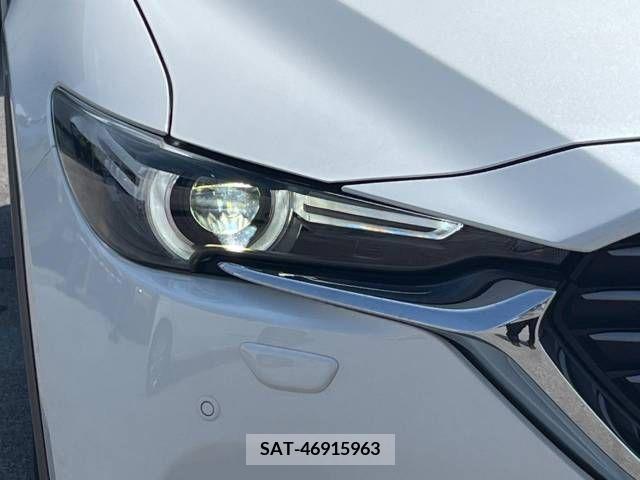 Mazda CX-8 2020-06 250882-16