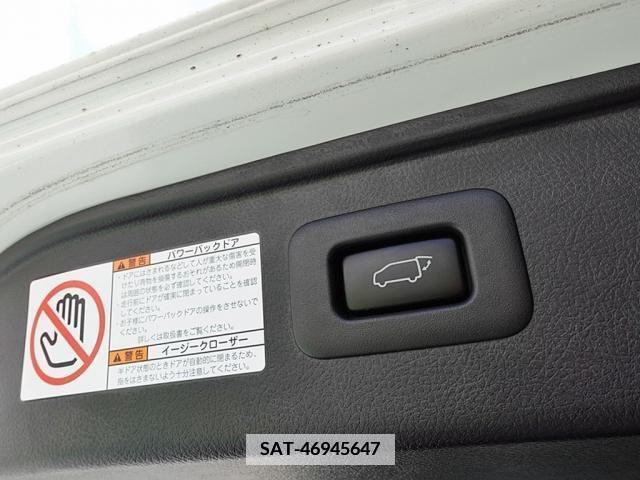 Toyota ALPHARD 2019-09 384535-29