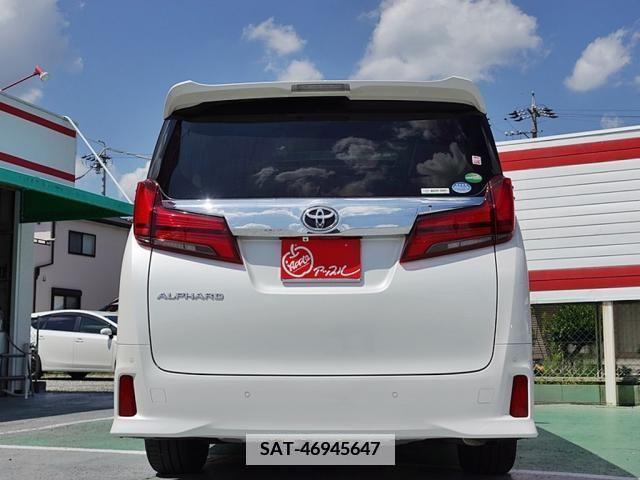Toyota ALPHARD 2019-09 384535-4