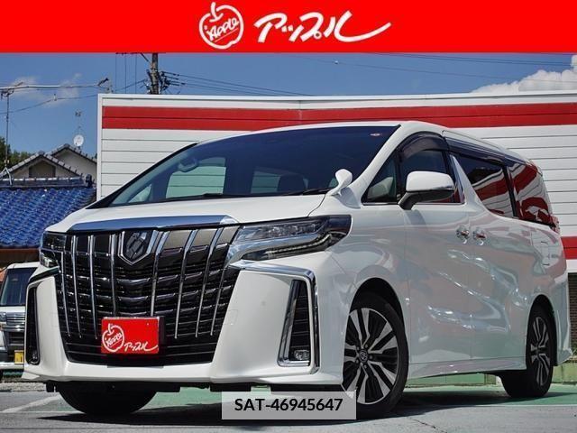 Toyota ALPHARD 2019-09 384535-0
