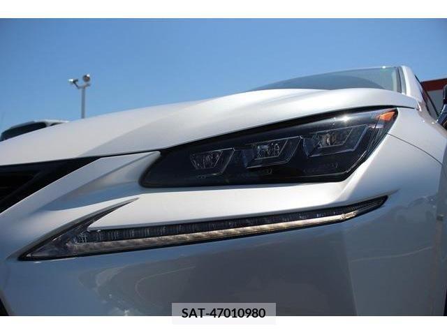 Lexus NX 2017-01 245349-10
